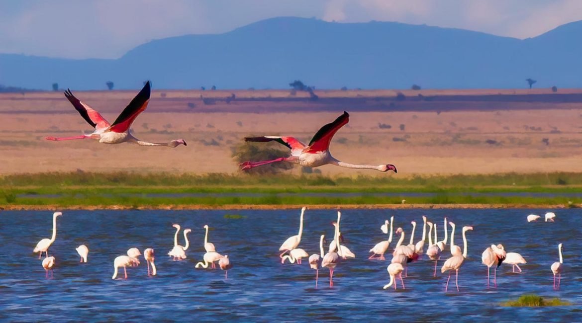 Bundala National Park