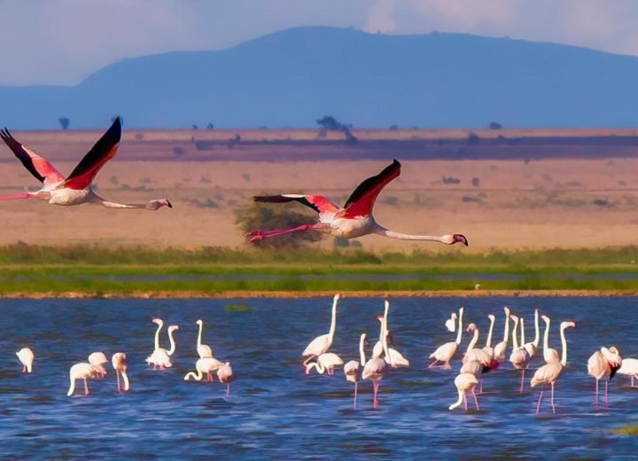 Bundala National Park